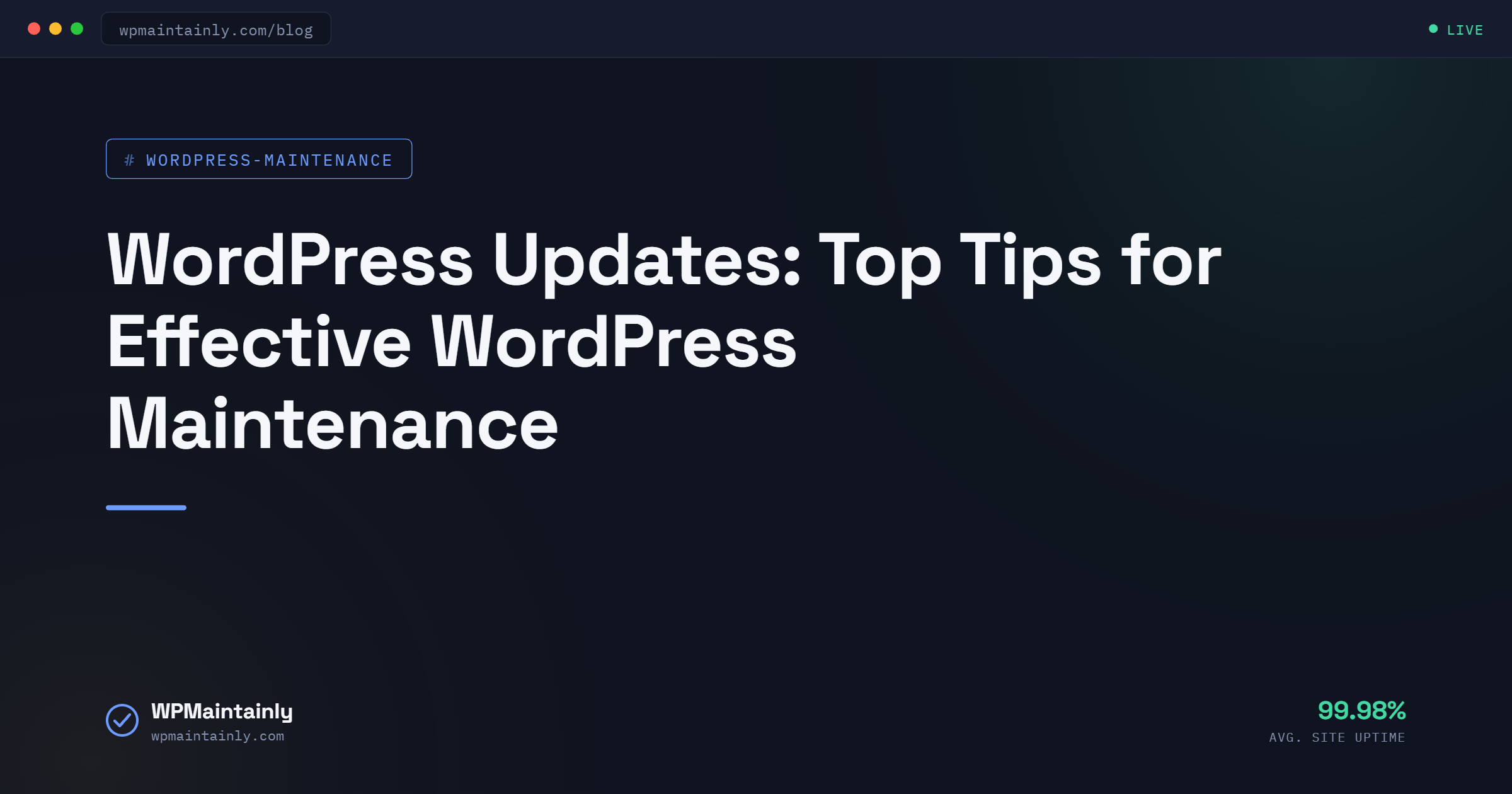 wpmaintainly featured image 3